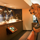 Illustration for article titled 8 Amazing Museums Where You Can Bring a Sleeping Bag and Stay the Night